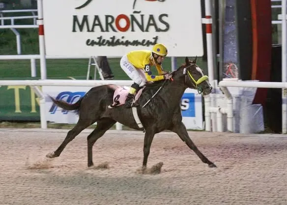 El Danzarín vence o Clásico Chile (L) em Maroñas, 2017