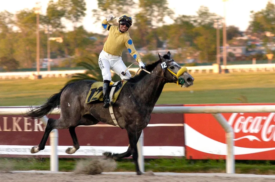 Mi Centinela vence o Gran Premio Nacional (G1), o Derby uruguaio, em Maroñas, 2015