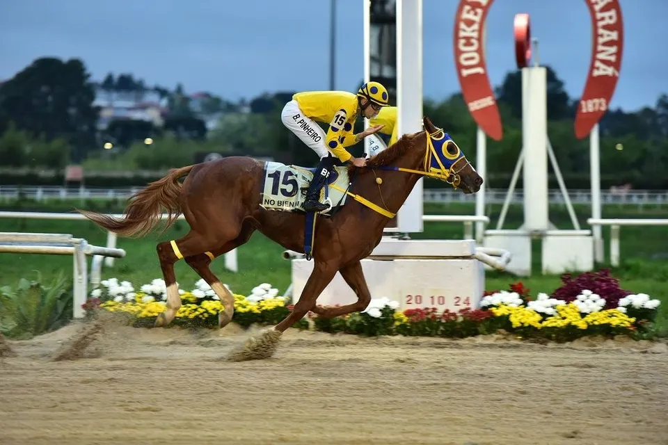 NO BIEN NI MAL vence — Pegasus Brasil · Tarumã (Curitiba) · 20 de out. de 2024