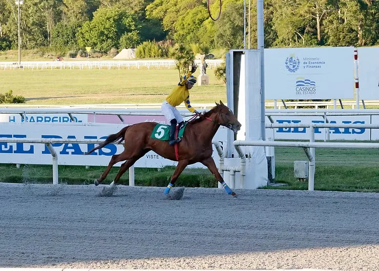 Obstacle gana el Gran Premio Nacional (G2) en Maroñas, 2025