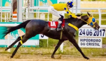 PERFECT BULLET vence: GP Taça de Cristal (L) (2017)