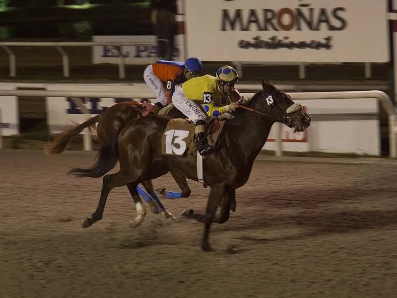 Rubia de New York (13) vence o Gran Premio Criterium de Potrancas (G2) em Maroñas, 2013