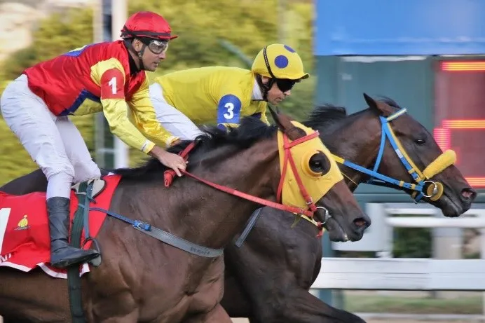 SPARCO vence: Grande Criterium (G1) (2024)