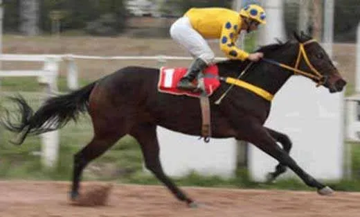 VIOLA DE PRATA vence: Clássico Presidente Mário Moraes (2011)